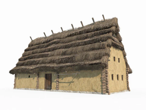 Medieval thatched cottages 3D Model