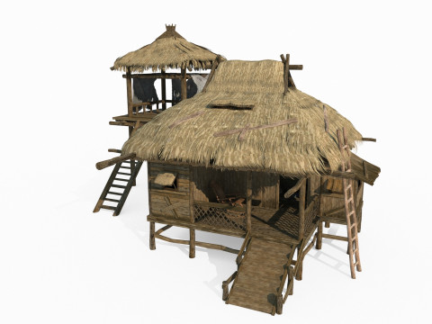 Ancient Asian Thatched Houses 3D Model
