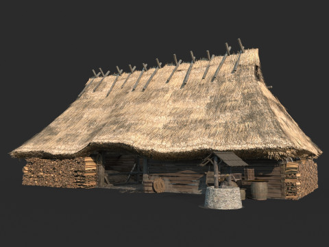 Średniowieczna architektura pokryta strzechą chata Model 3D