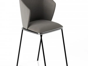 Anche Mida Modello 3D