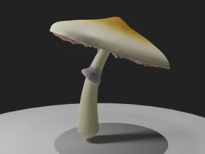 Psilocybe Cubensis Mushroom 3D Model
