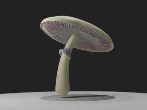 Psilocybe Cubensis Mushroom 3D Model