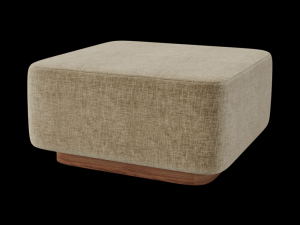 Wudus Brand Model 3D