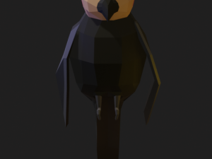 Cockatiel Model 3D