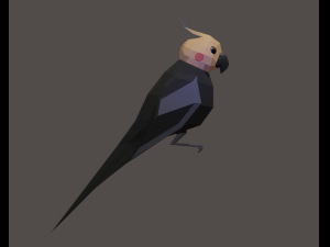 Cockatiel Model 3D