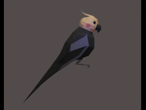 Cockatiel 3D Model
