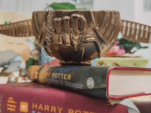 Echo dot 4 Alexa - Golden snitch Harry Potter 3D Baskı Modeli