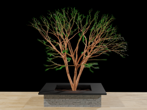 Swimming pool outdoor pool Modello 3D