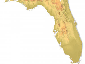 Florida Topographic Map STL Model 3D Print Model