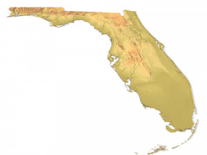 Florida Topographic Map STL Model 3D प्रिंट मॉडल