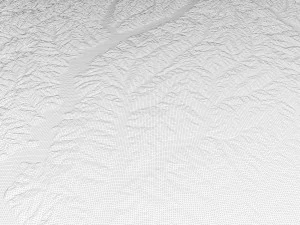 Missouri Topographic Map STL Model 3D Print Model