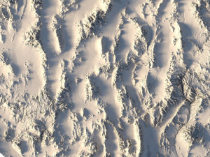 Nevada Topographic Map STL Model 3D 打印模型