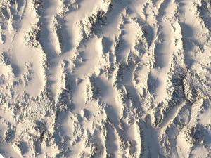 Nevada Topographic Map STL Model 3D Print Model