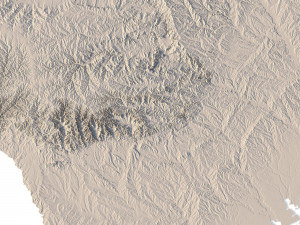 State of Texas STL 3D 打印模型