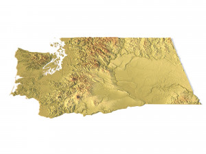 State of Washington STL Modello di stampa 3D