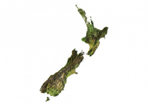 3D relief of New Zealand C4D FBX STL 3D Model