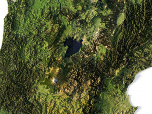 3D relief of New Zealand C4D FBX STL 3D Model