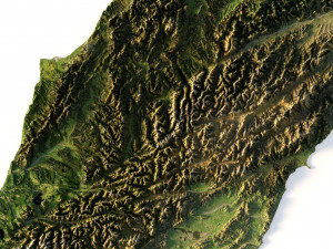 3D relief of New Zealand C4D FBX STL 3D Model
