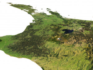 3D relief of New Zealand C4D FBX STL 3D Model