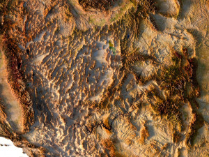 United States 3D relief C4D OBJ STL 3D Модель