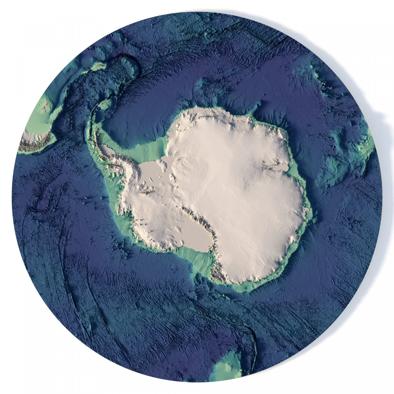 Antarctica 3D map with ice C4D STL 3D Model .c4d .max .obj .3ds .fbx .stl .blend