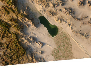 Relief map of California 3D मॉडल