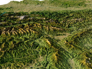 Relief map of Austria 3D Model