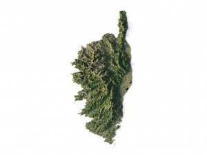 Corsica Terrain 3D Model