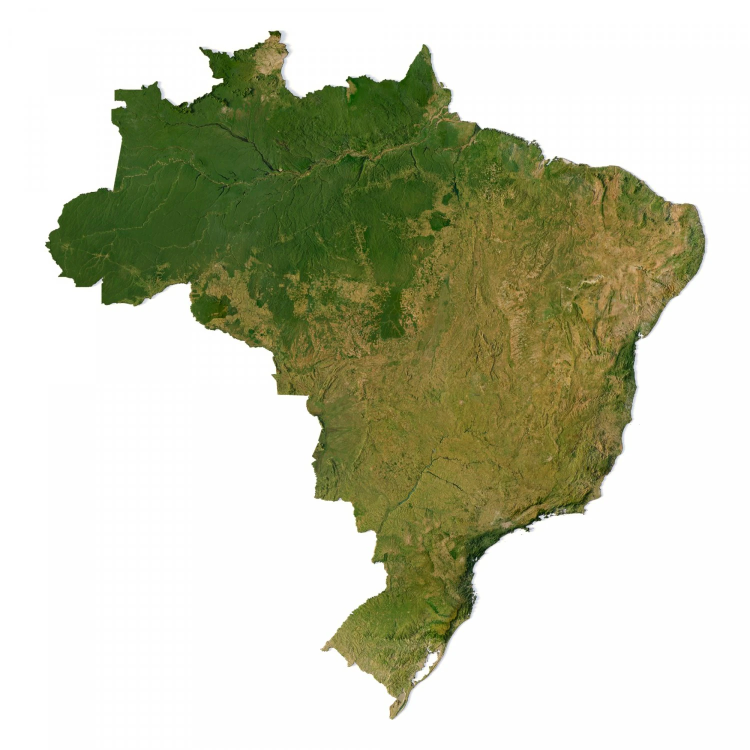 Brazil Terrain 3D Model .c4d .max .obj .3ds .fbx .stl .blend
