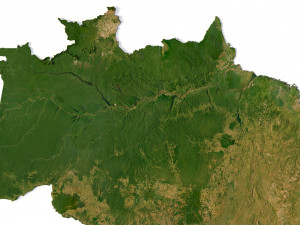 Brazil Terrain Modelo 3D