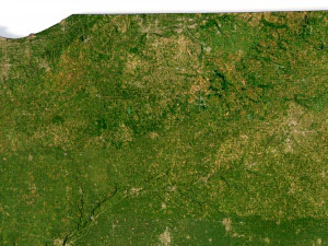 Indiana Terrain 3D Model