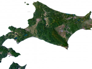 Japan Terrain 3D Map 3D Model