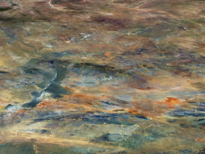 Mongolia Terrain 3D Map 3Dモデル