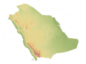 Saudi Arabia Terrain Map 3D 模型