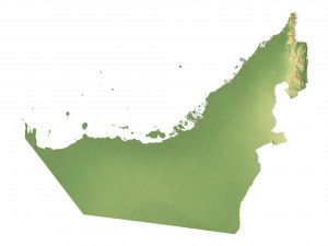 United Arab Emirates Terrain 3D Map Modèle 3D