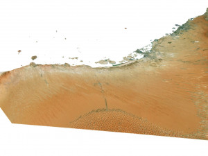 United Arab Emirates Terrain 3D Map Modèle 3D