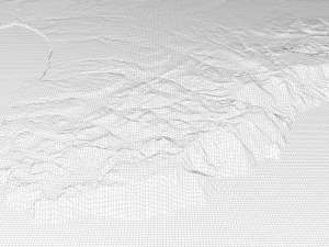 Ukraine Terrain 3D Map 3D Model