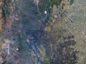 Argentina Terrain 3D Map 3D Model