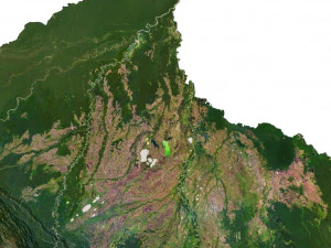 3D-карта местности Боливии 3D Модель