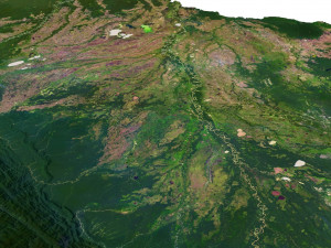 Bolivia Terrain 3D Map Model 3D