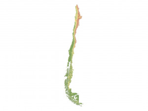 Chile Terrain 3D Map 3D मॉडल