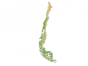 Chile Terrain 3D Map 3D मॉडल