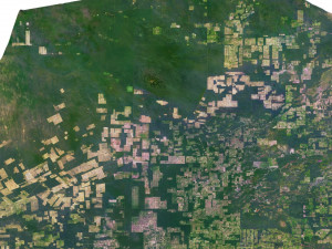 Paraguay Terrain 3D Map 3D Model