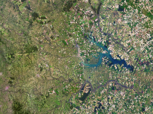 Paraguay Terrain 3D Map 3D Model