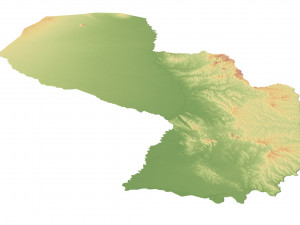 Paraguay Terrain 3D Map 3D Model