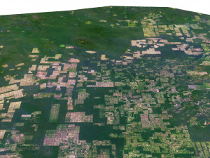 Paraguay Terrain 3D Map 3D Model