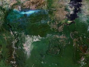 Venezuela Terrain 3D Map 3D मॉडल