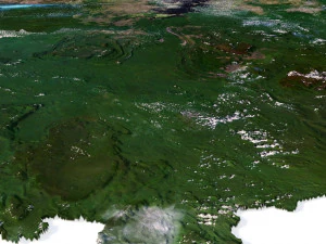 Venezuela Terrain 3D Map 3D Model