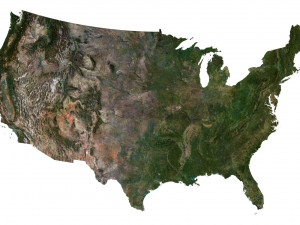 United States Terrain 3D Map 3D Model