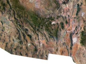 United States Terrain 3D Map 3D Model